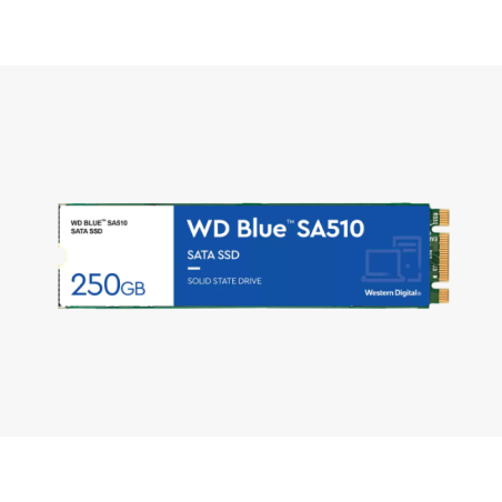 WD Blue 500GB SA510 Sata3 M.2