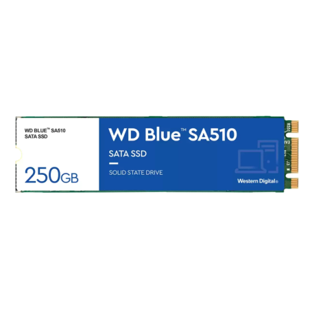 Western Digital Blue SA510 250 GB M.2