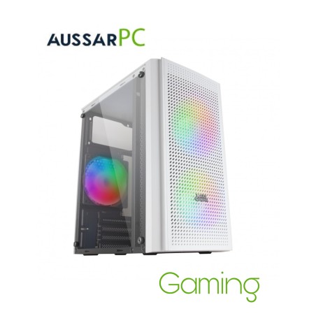 Aussar Winter Pc Gaming (Ryzen 5 5500/ Rx6600 /1x16Gb RAM / 1 tb)