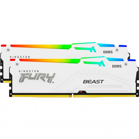 Kingston Technology FURY Beast RGB 64gb (2 x 32gb) 6000Mhz Cl30 DDR5 ECC