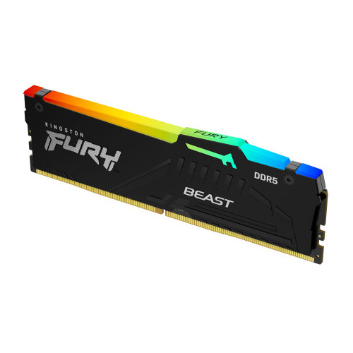 Kingston Technology FURY Beast RGB 16gb (1 x 16gb) 6800Mhz DDR5 ECC