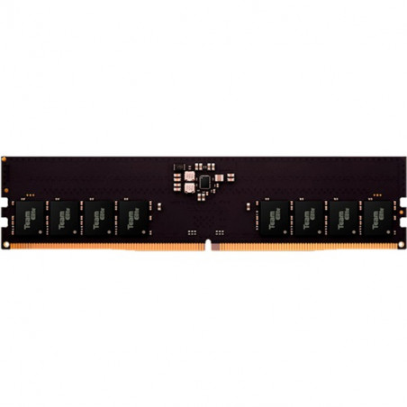 Team Elite DDR5 16GB PC 5600