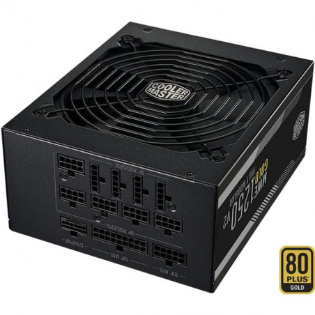 Cooler Master MWE 1250 V2 80 plus gold Negra